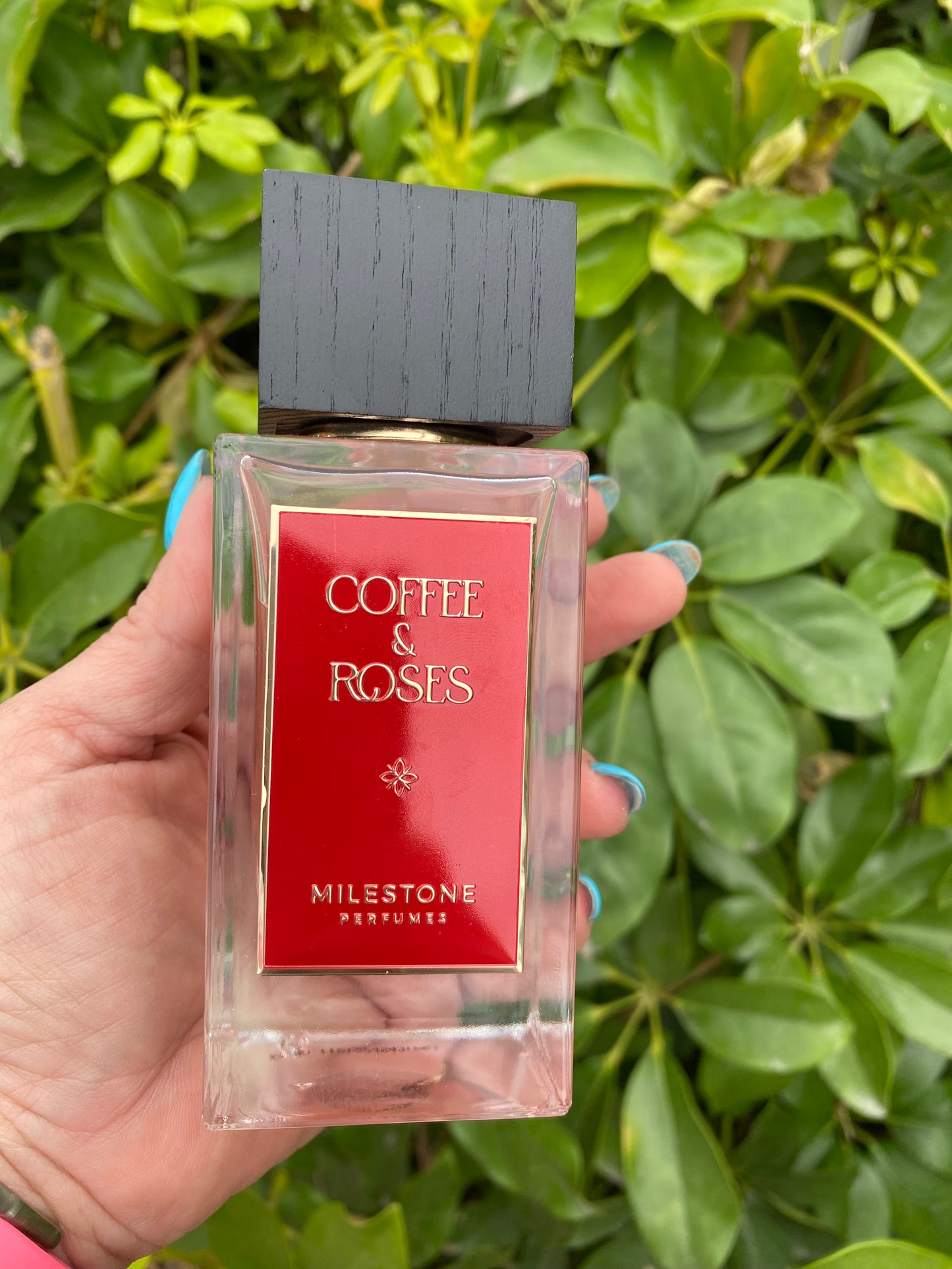 Rose & Coffee (Unisex)