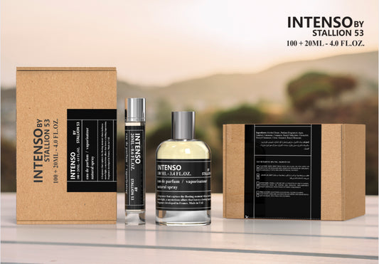 Intenso by stallion 53