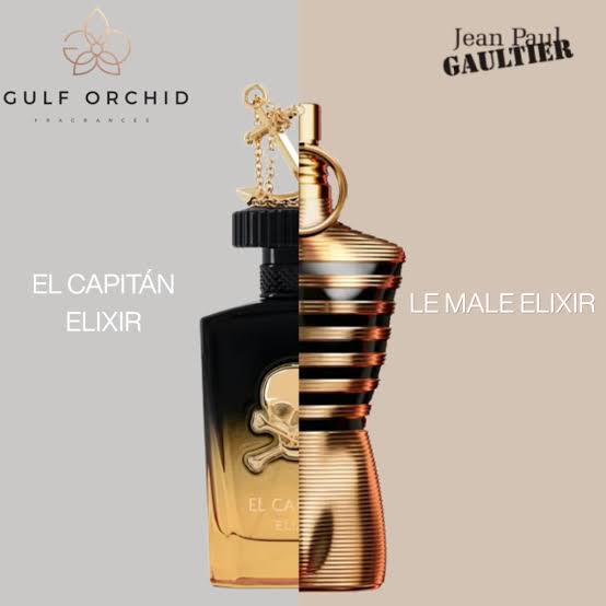 El Capitán Elixir Gulf Orchid